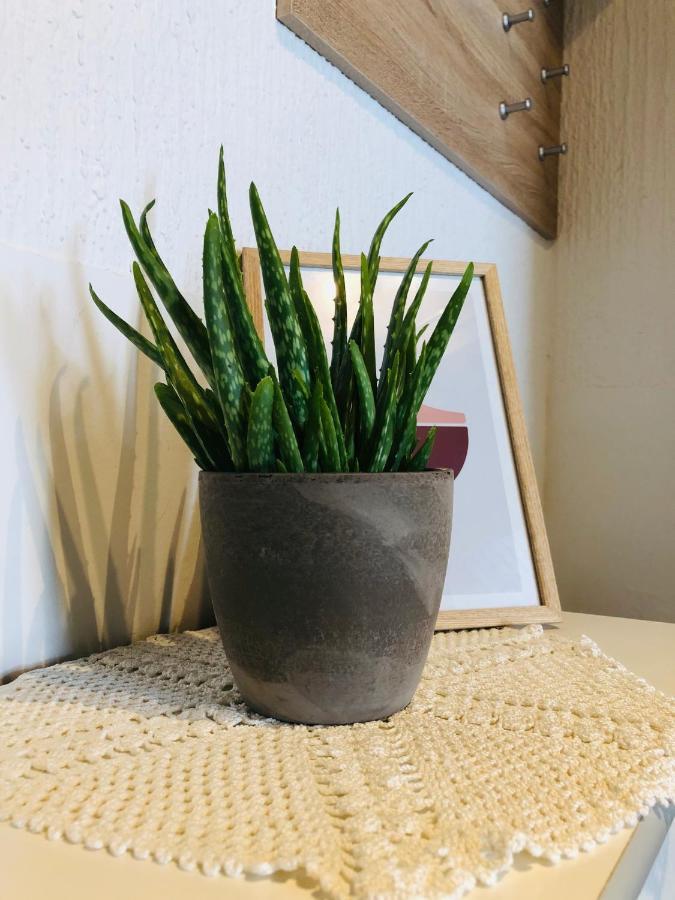 Apartma Domenika Πτούι Εξωτερικό φωτογραφία